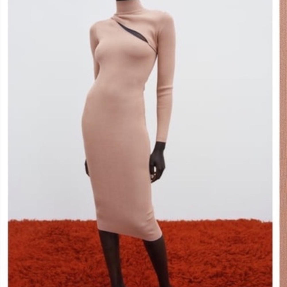 Zara Long-Sleeve Dress